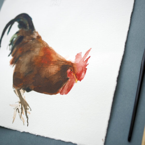 Hahn I, ca. 30 x 30 cm (Ausschnitt), Aquarell auf Büttenpapier, 2020